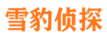 南陵外遇出轨调查取证